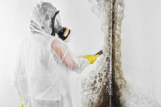 Crawl Space Mold Removal in Belville, NC
