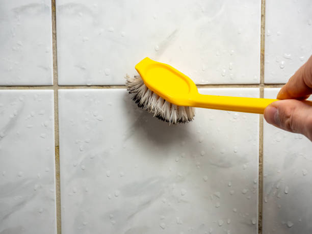 Professional Mold Removal in Belville, NC