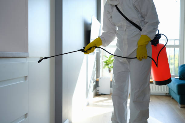 Best Professional Mold Removal  in Belville, NC