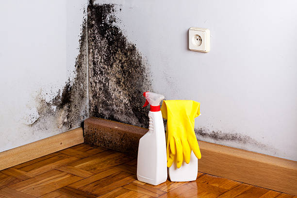 Water Damage Restoration in Belville, NC