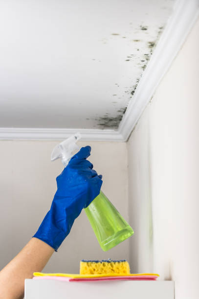 Water Damage Restoration in Belville, NC